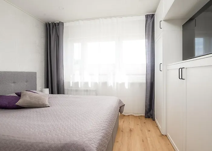 Mainiidu Apartment *